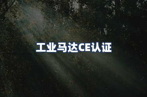 工业马达CE认证